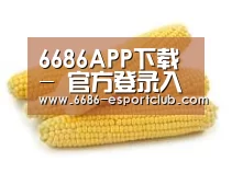 产品名称五