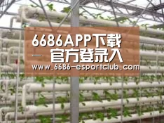 环境展示六