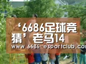 ‘6686足球竞猜’老马14分克劳福德27+5+7 北京19记三分大胜天津(图3) 6686足球竞猜