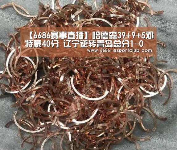 【6686赛事直播】哈德森39+9+5邓特蒙40分 辽宁逆转青岛总分1-0(图2) 6686电竞直播